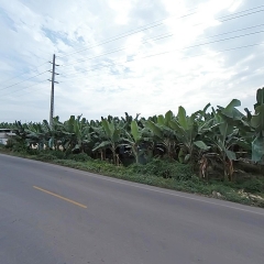 adelca (2)