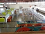 Aeropuerto Ecológico de Baltra